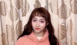 鹿晗巅峰爆料视频大全最新,揭秘爆料视频背后的精彩瞬间